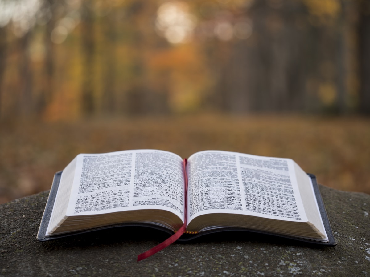 An open Bible with a red ribbon resting in warm autumn light